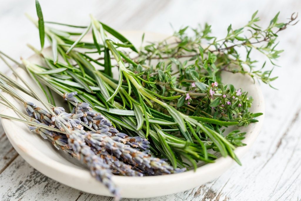 plante aromatique et epices