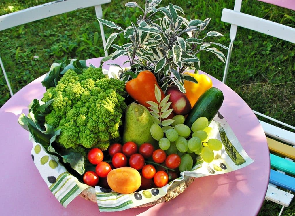 consommation alimentaire