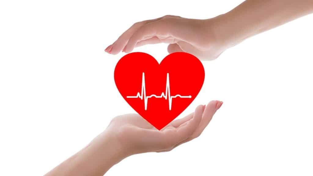 Maladies Cardiovasculaires