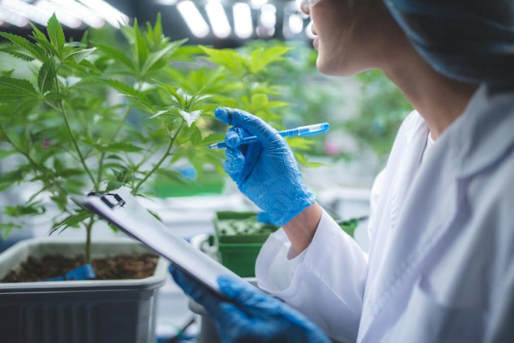 bienfaits cbd